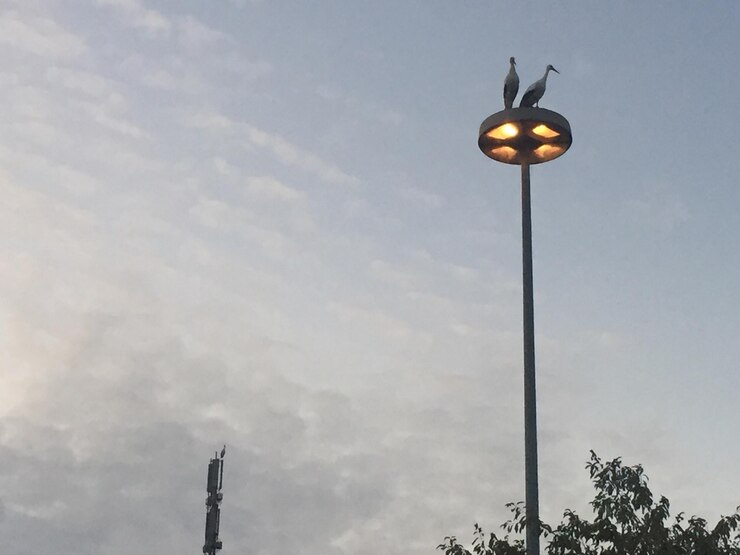 Fugiat tempora doloremque voluptatum a.